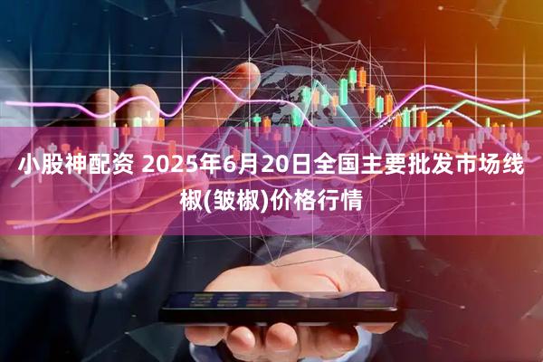 小股神配资 2025年6月20日全国主要批发市场线椒(皱椒)价格行情