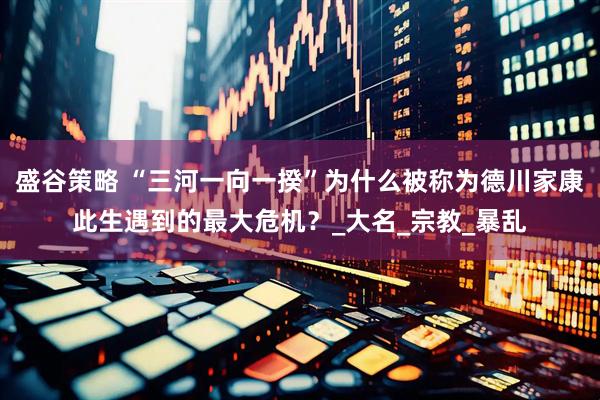 盛谷策略 “三河一向一揆”为什么被称为德川家康此生遇到的最大危机？_大名_宗教_暴乱