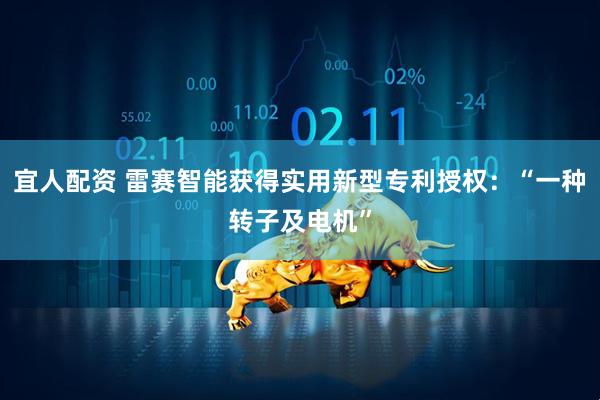 宜人配资 雷赛智能获得实用新型专利授权：“一种转子及电机”